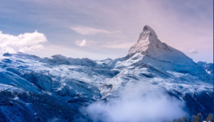 恒瀚思网站上线了