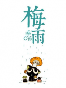 雨季来临 交换机防雷防护很重要